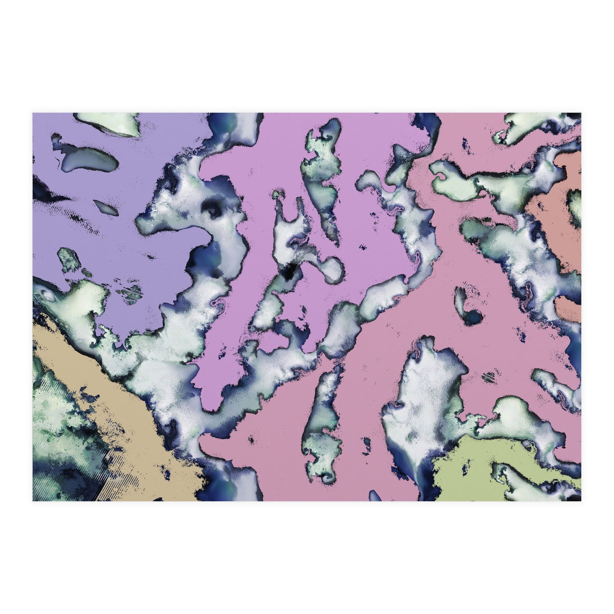 A Soft Choice (Print Only)