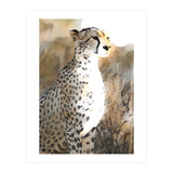 Guardian Cheetah (Print Only) thumbnail