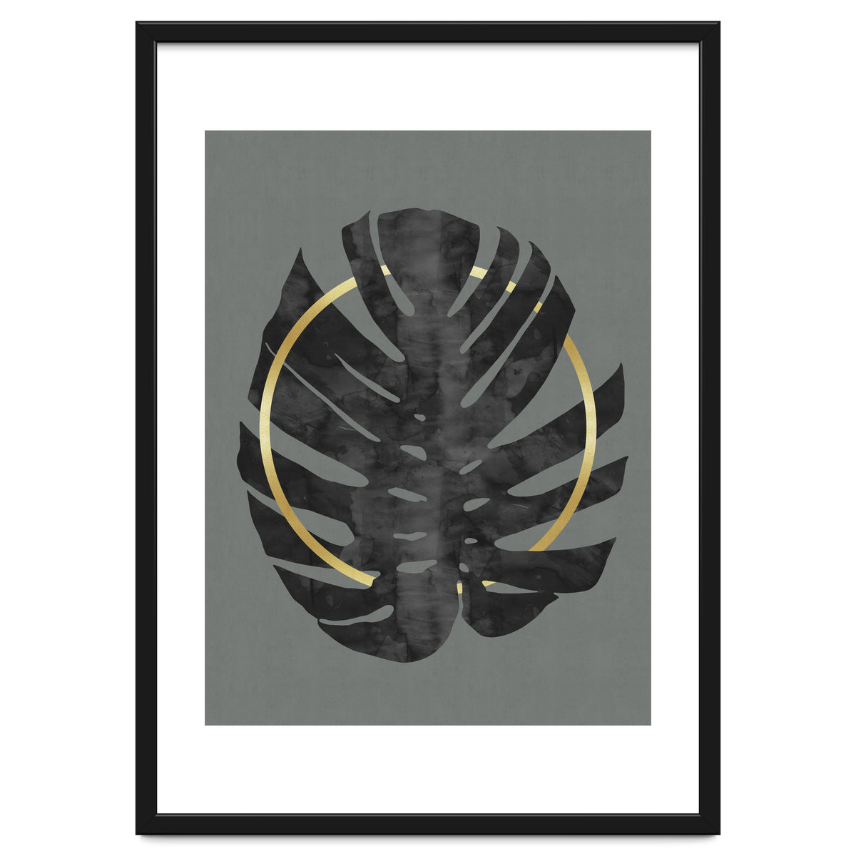 Monstera Deliciosa I