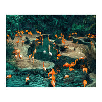 Flamingo Creek (Print Only)