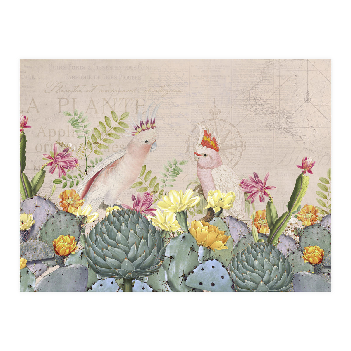 Desert Cockatoos (Print Only)