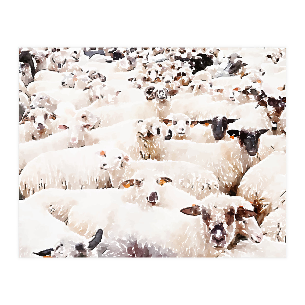 The Herd (Print Only)