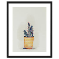 Cactus in yellow pot