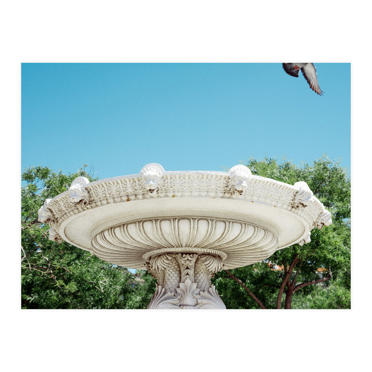 Holy Grail (Print Only)