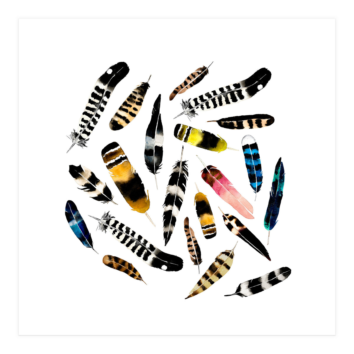 Feather Fusion  (Print Only)