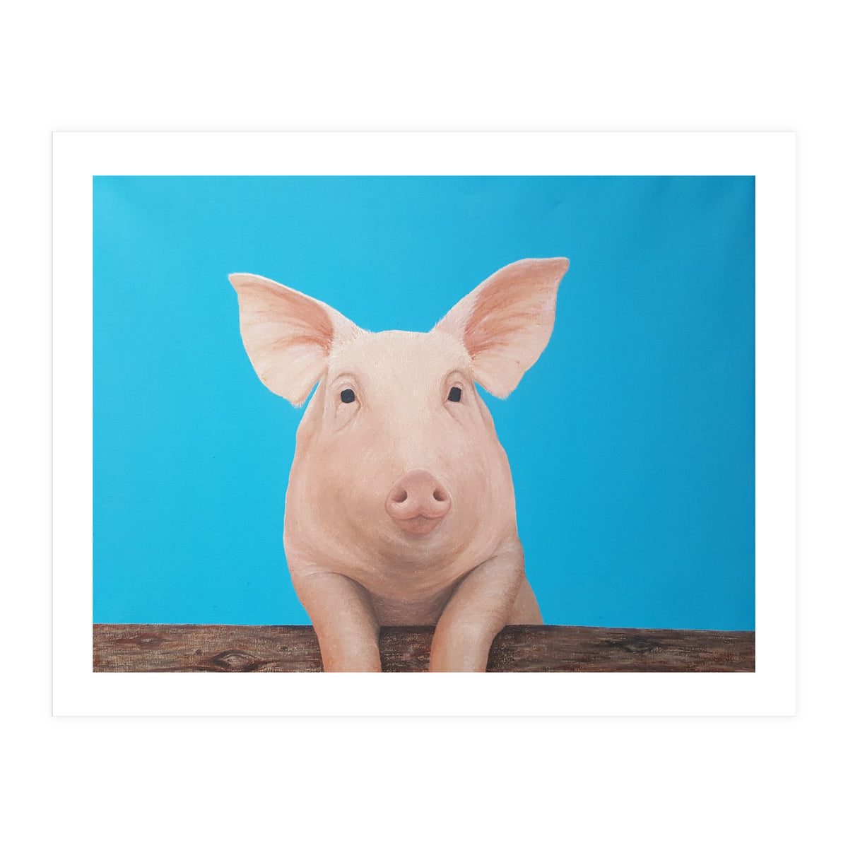Pig (Print Only)
