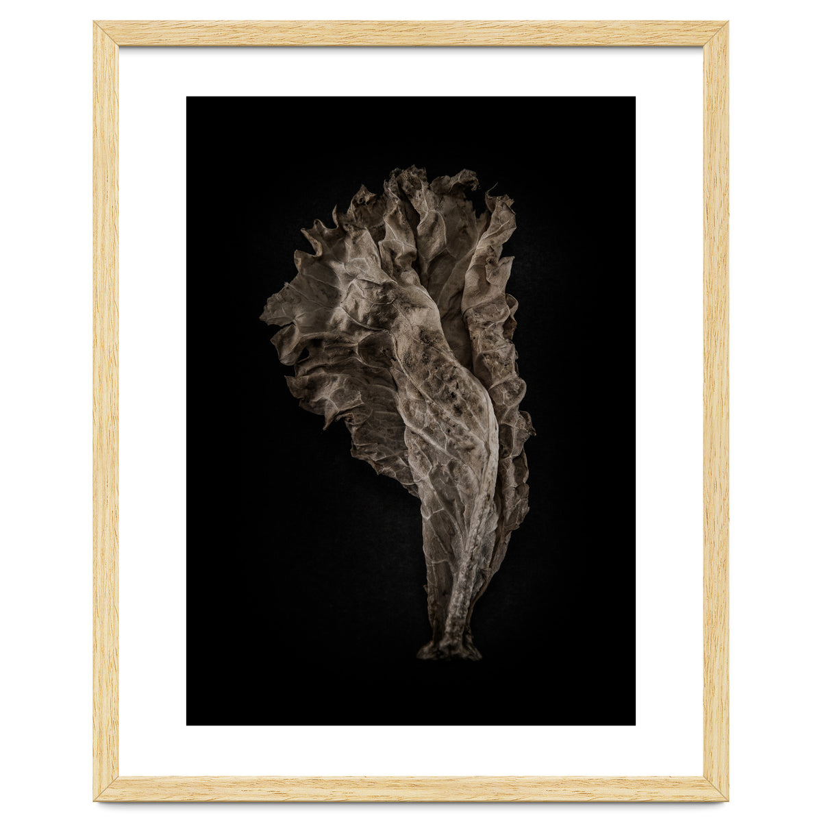 Leaves No 8 Color Version