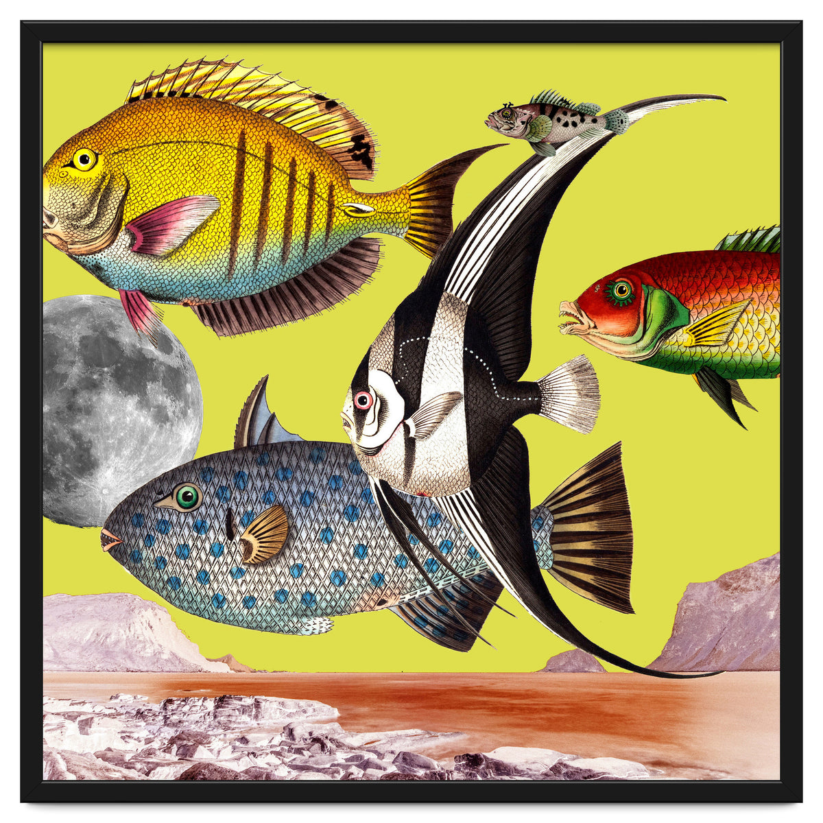 Plenty Of Fish In The Sea Yellow