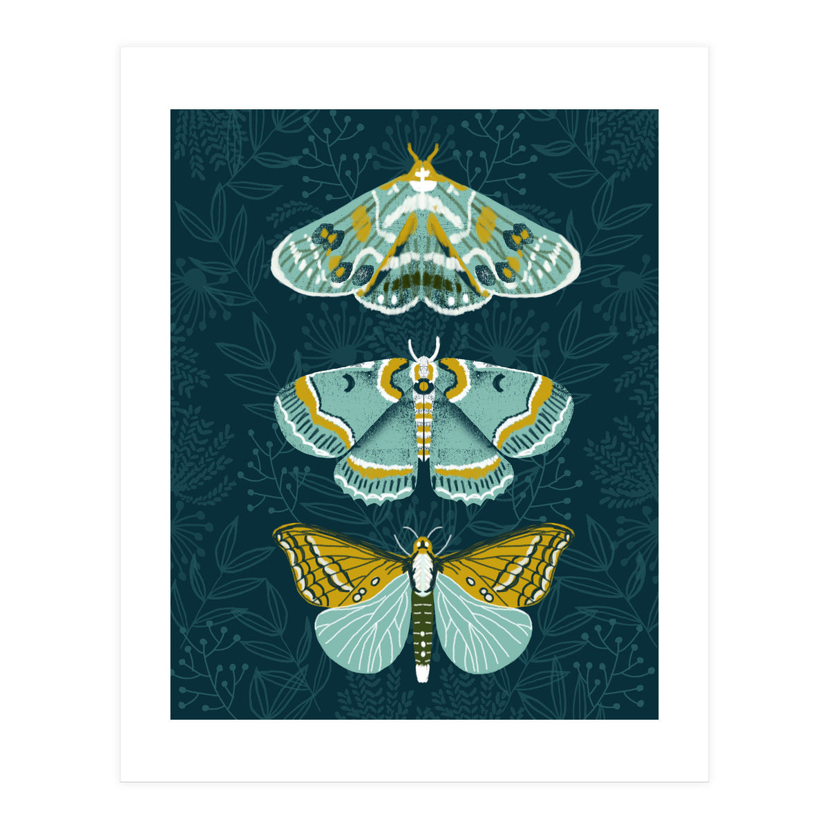 Lepidoptery8 (Print Only)