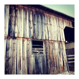 8 D13 Daf8 F8 F5 4621 A326 Cf1 B8 E3 C8084 (Print Only) thumbnail