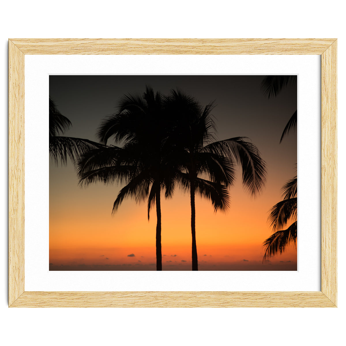 Mexico, November nights