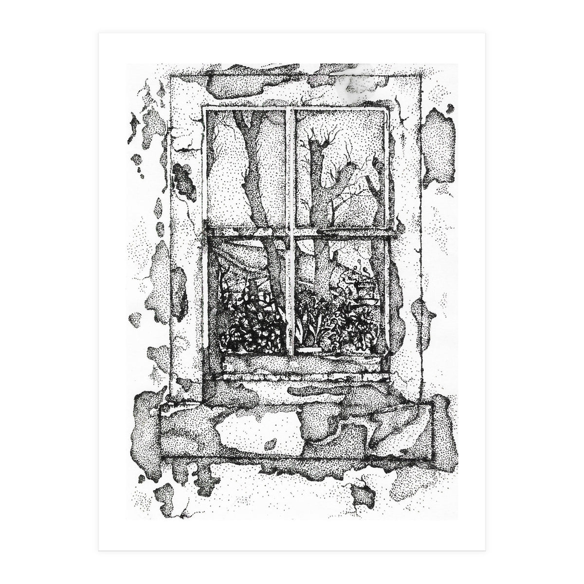 The window (Print Only)