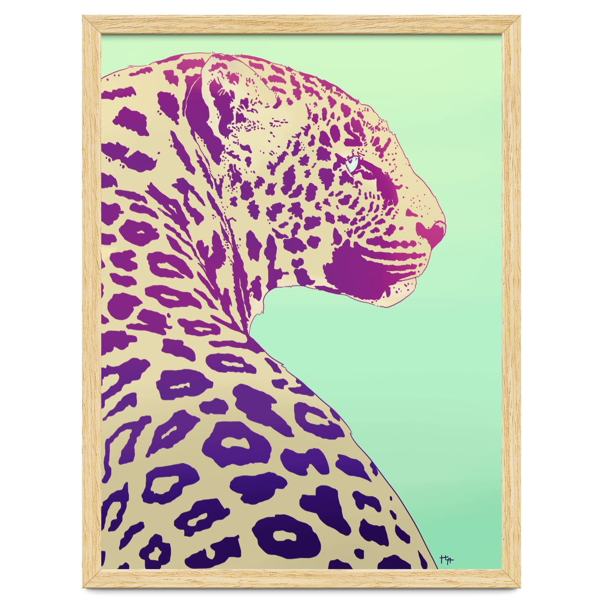 Leopard Under The Sun