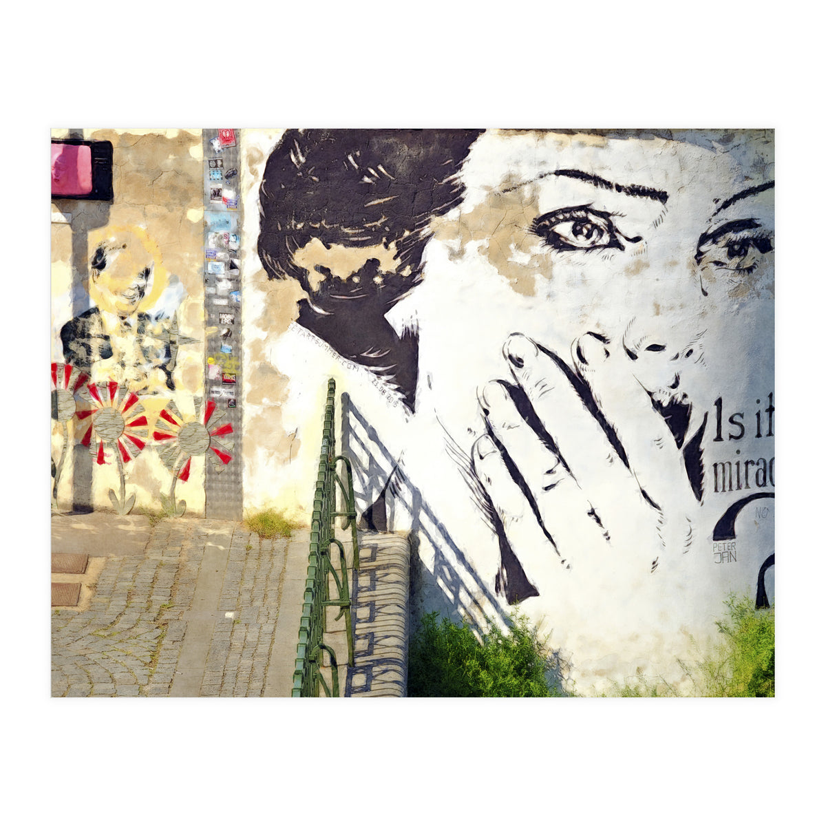 Beauty of decay (Print Only)