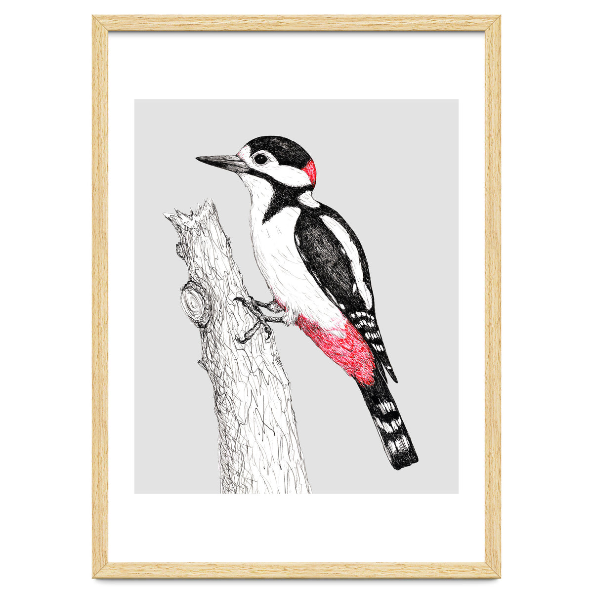Great spotted woodpecker
