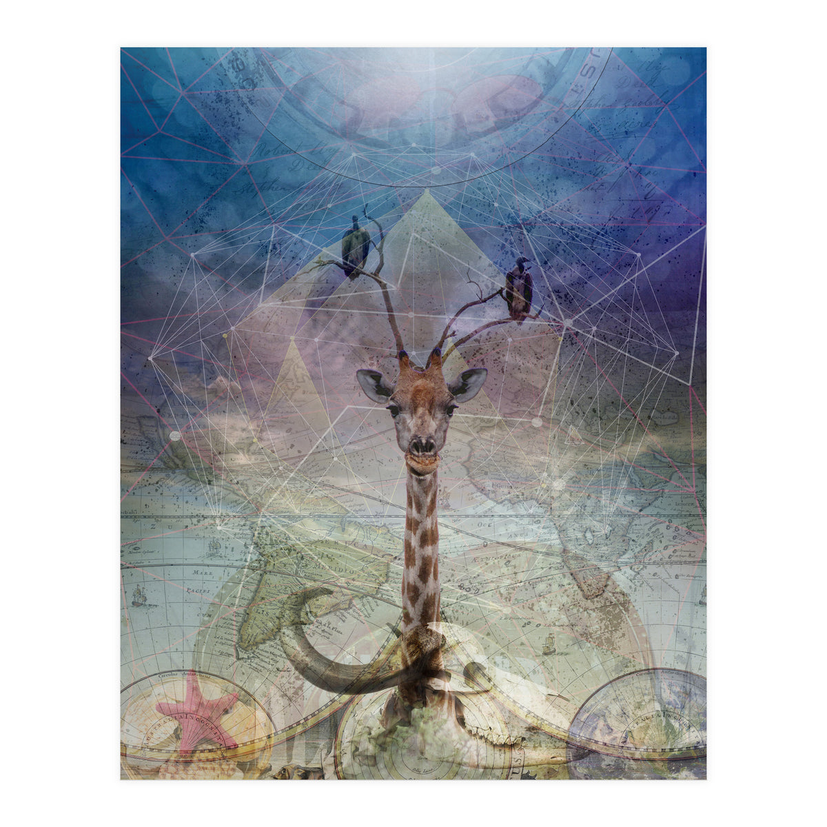 Warning (Print Only)