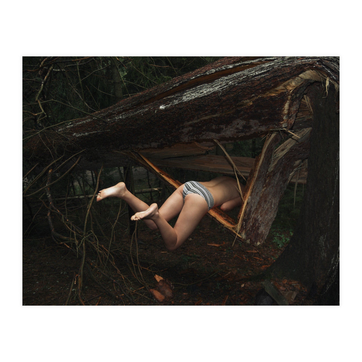 It's a Trap (Print Only)