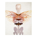 Ikarus - Like a Moth to the Flame (Print Only) thumbnail