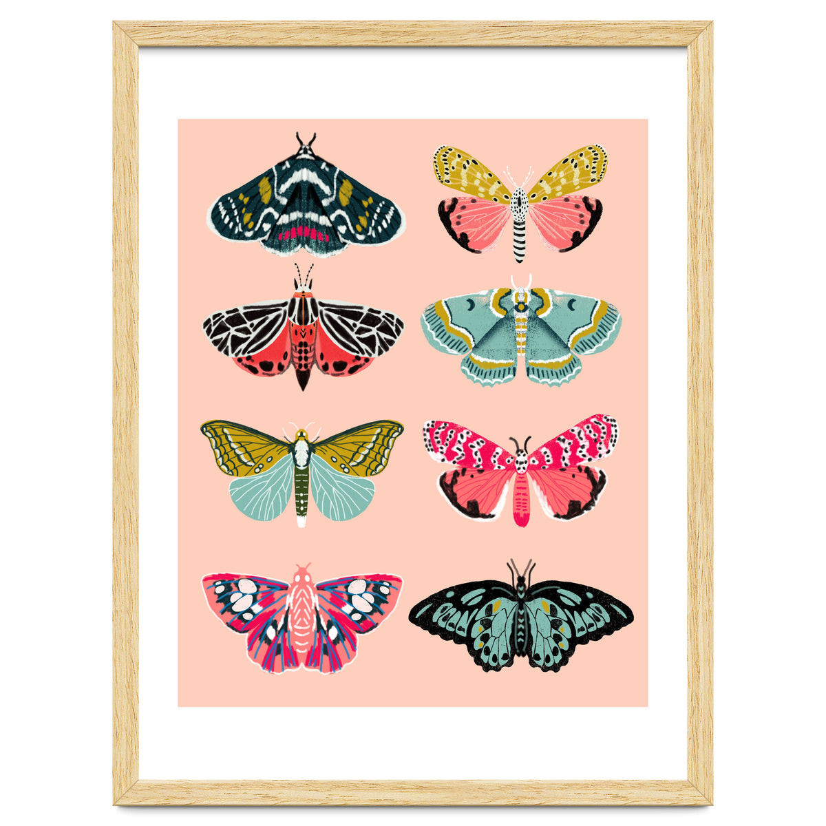 Lepidoptery No. 1