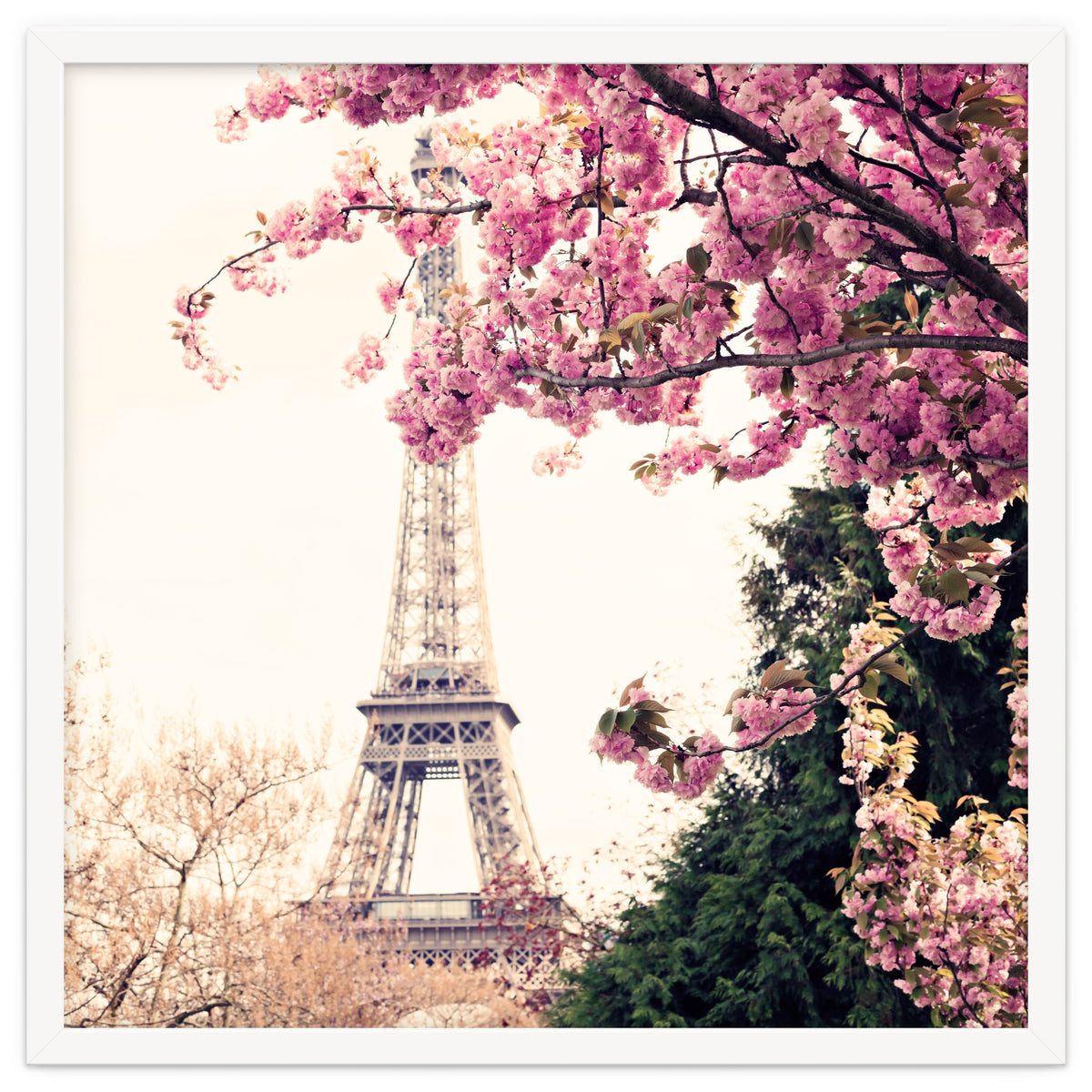 Paris in the Spring
