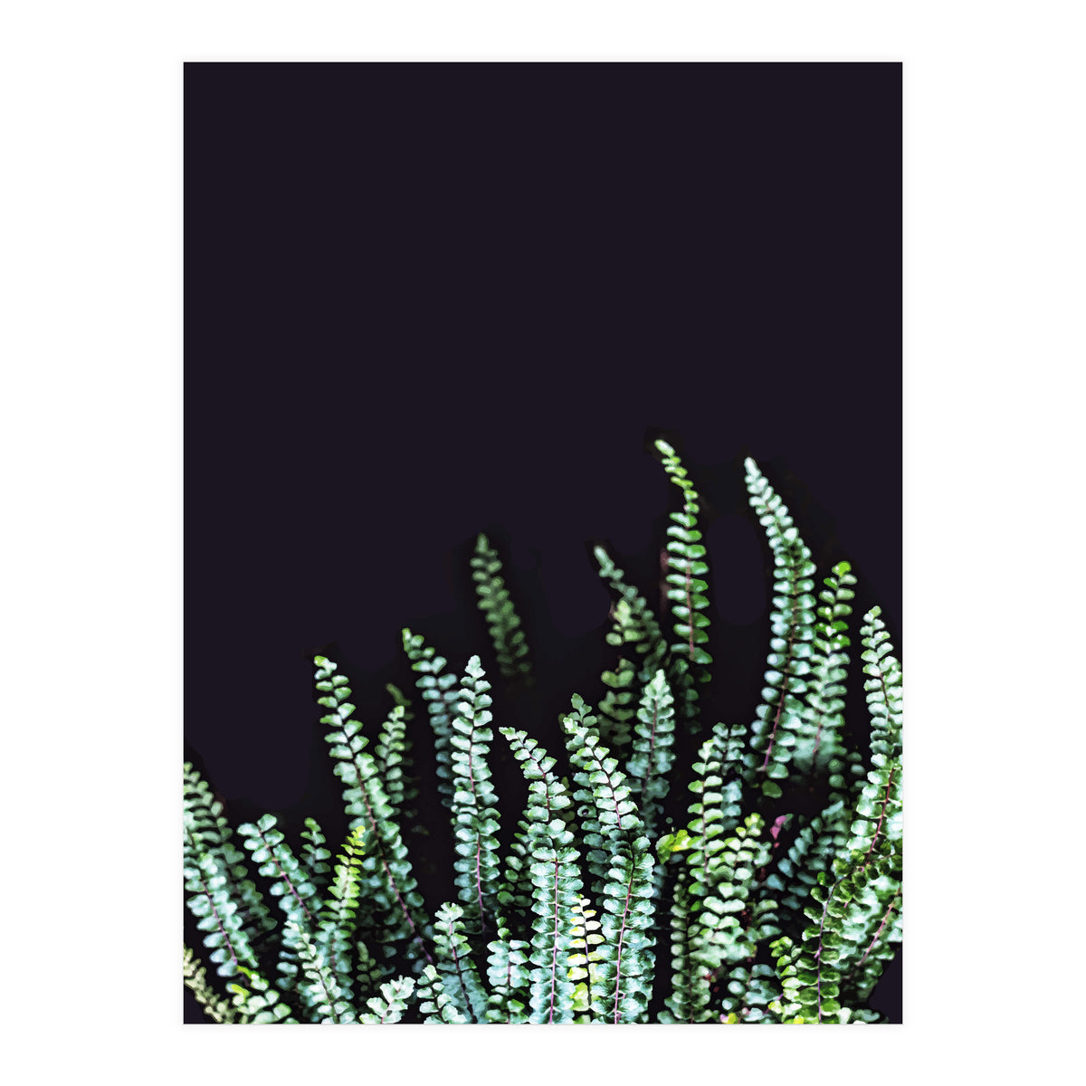 Dark Nature (Print Only)