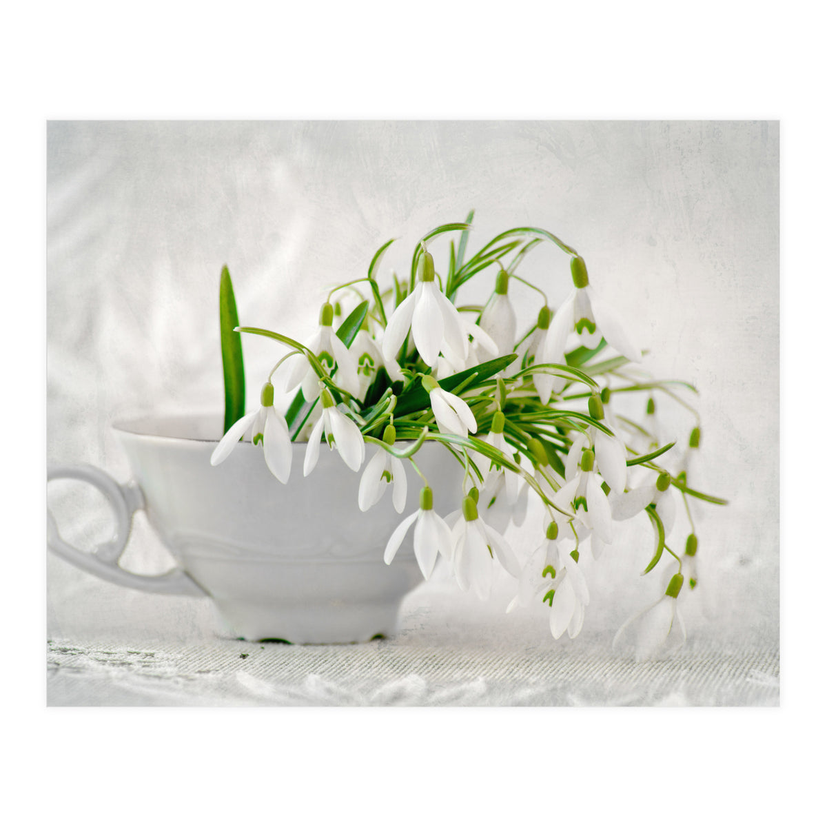 Snowflakes (Print Only)