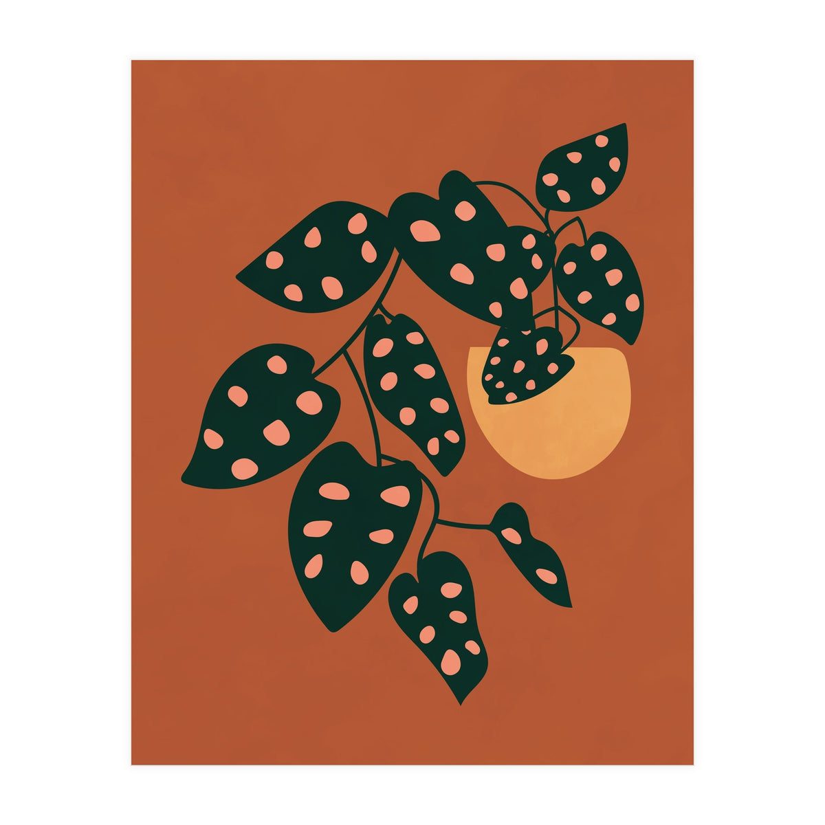 Monstera Adansonii (Print Only)