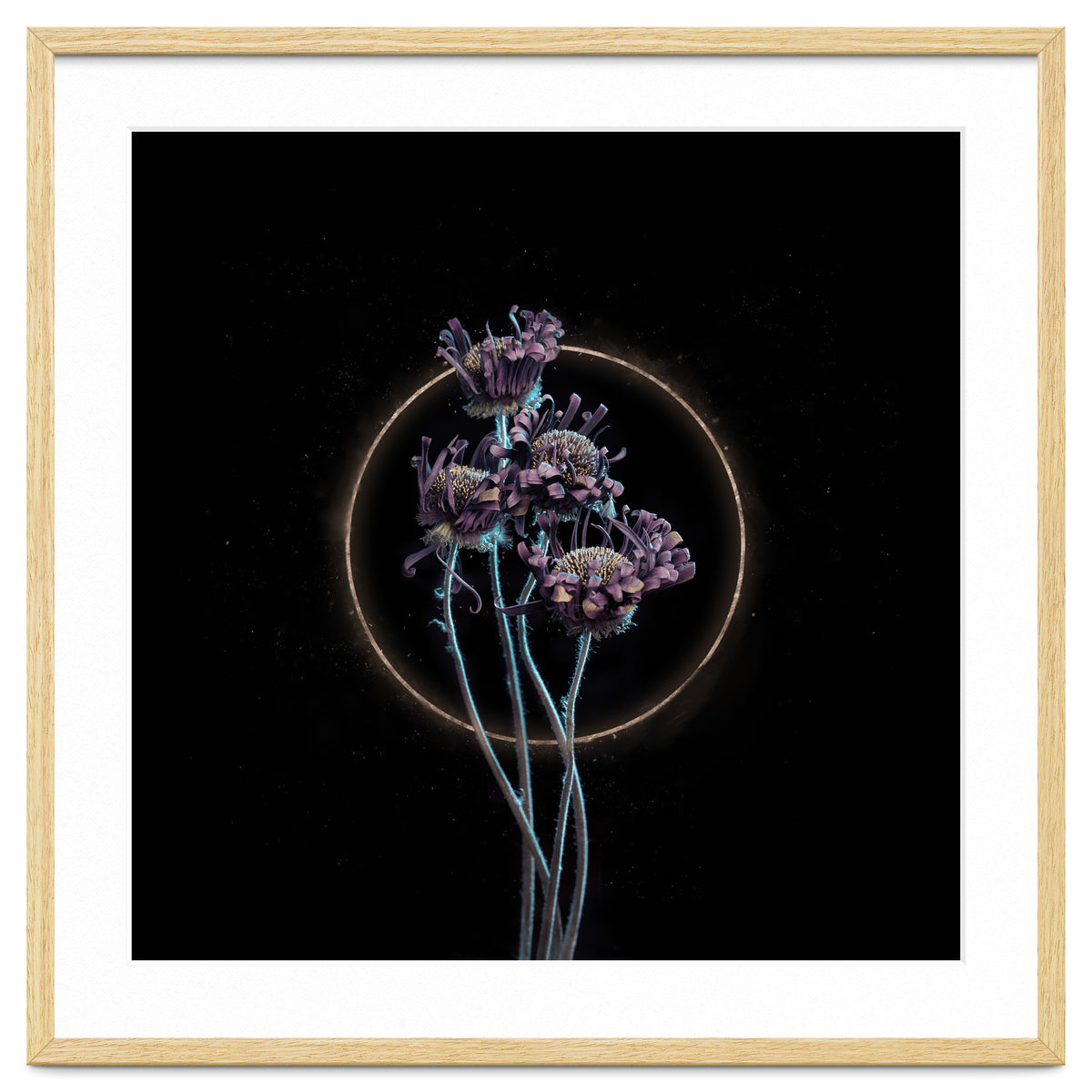 Candy-Coloured Mystery