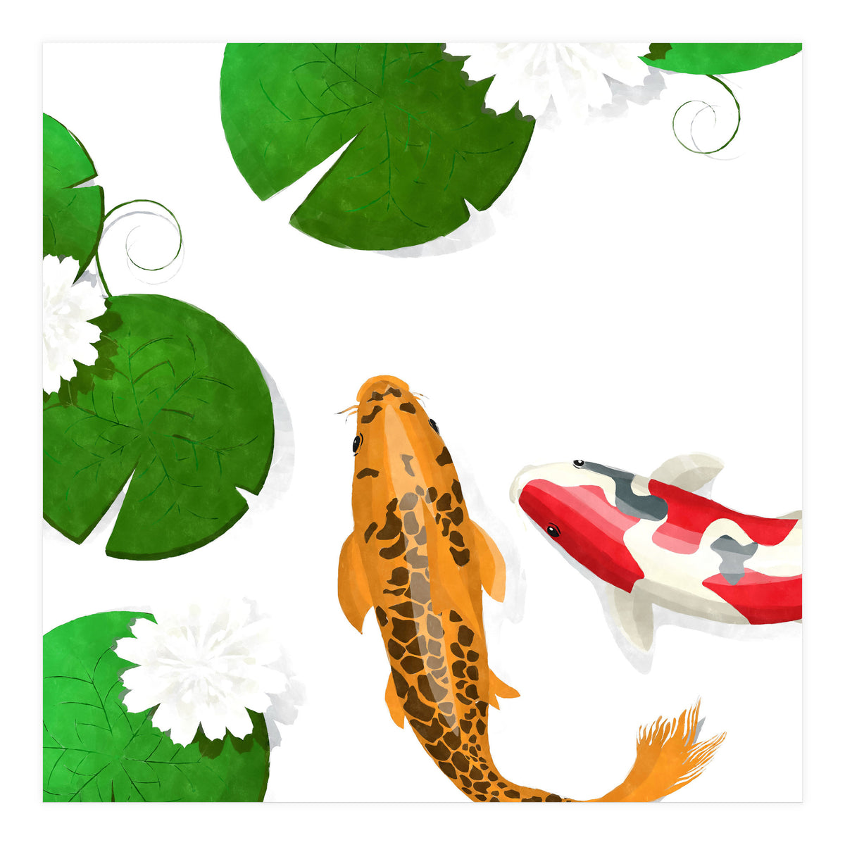 Koi fish background (Print Only)