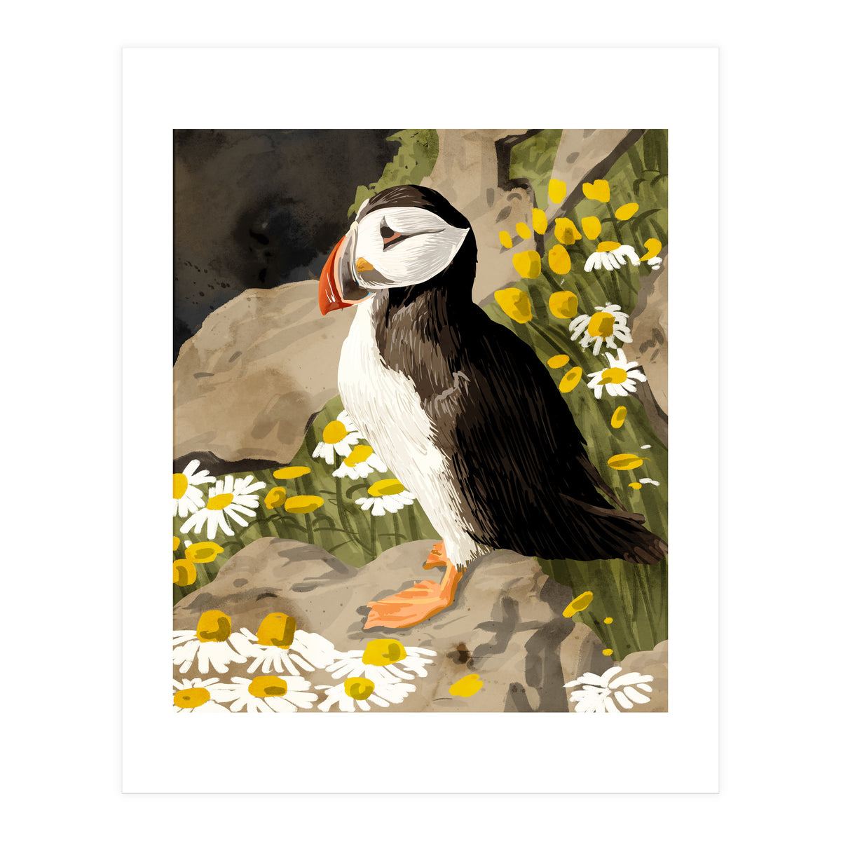 Puffin (Print Only)