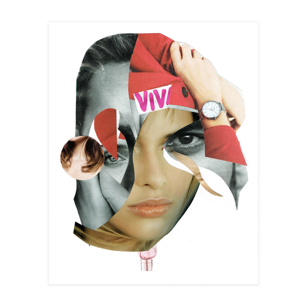 Another Portrait Disaster X (Print Only)