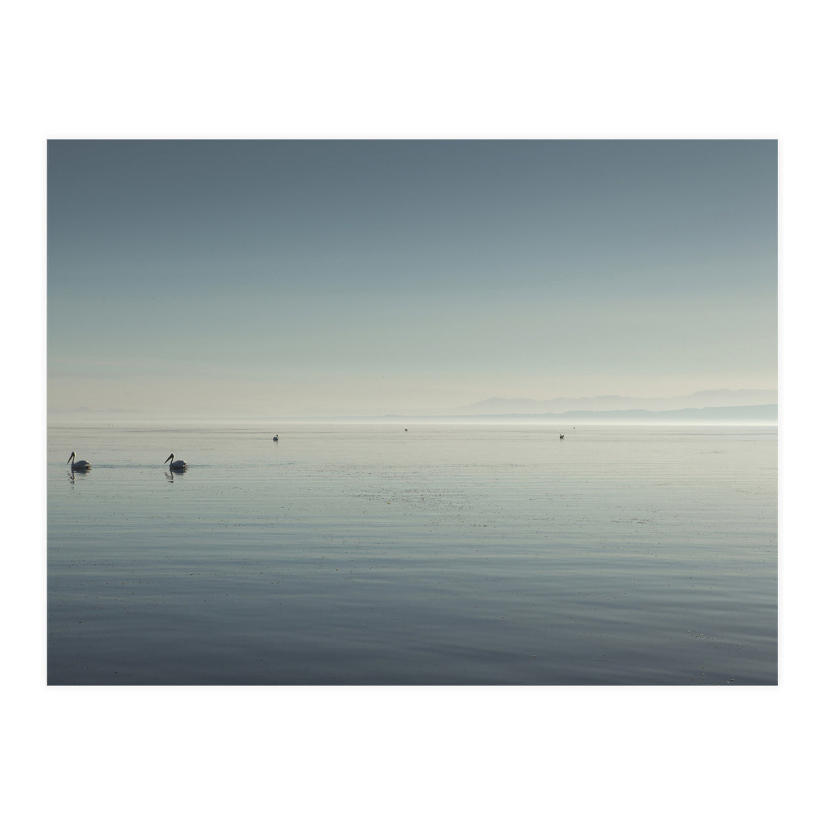 The Salton Sea (Print Only)