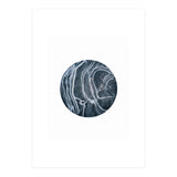 Entity (Print Only) thumbnail