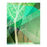 P22 B Trees And Triangles (Print Only) thumbnail