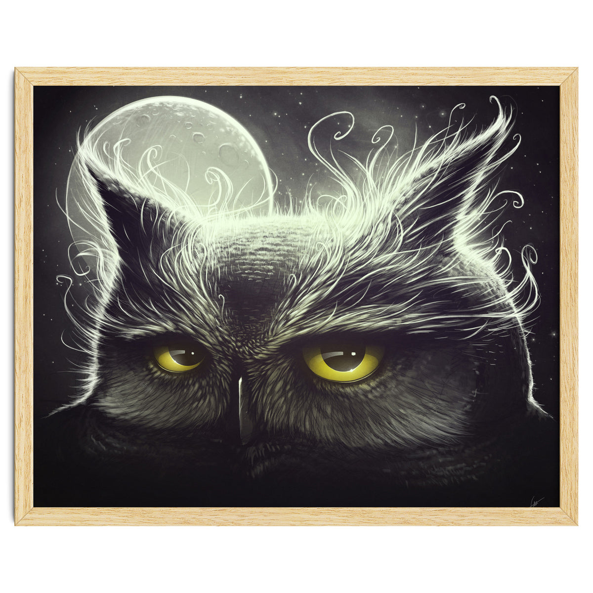Owl And The Moon