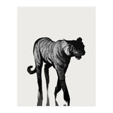Tiger  (Print Only) thumbnail