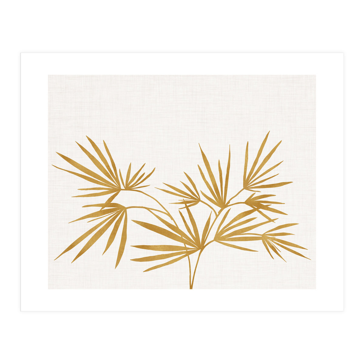 Golden Fan Palm (Print Only)