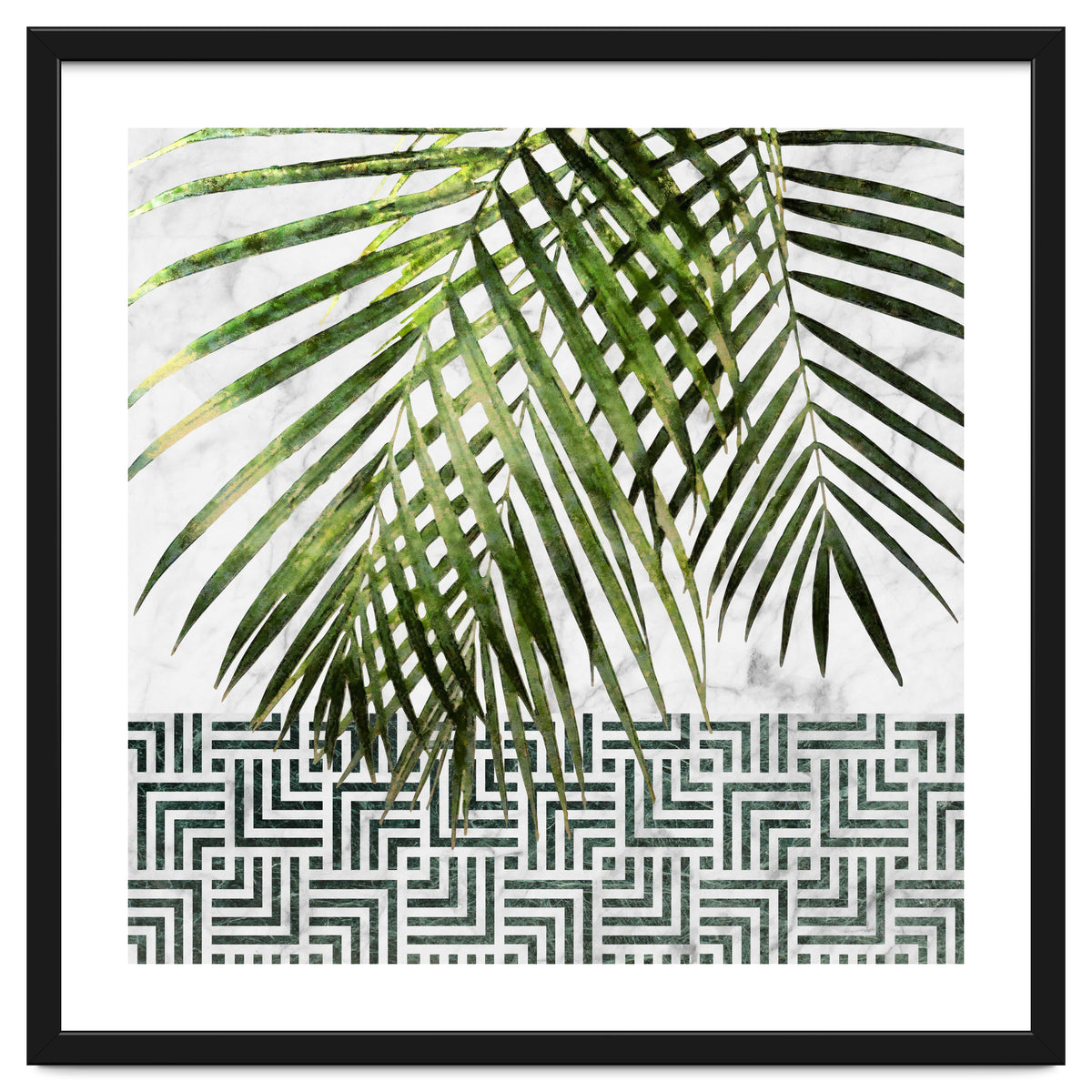 Palm Leaves On White Marble And Tiles