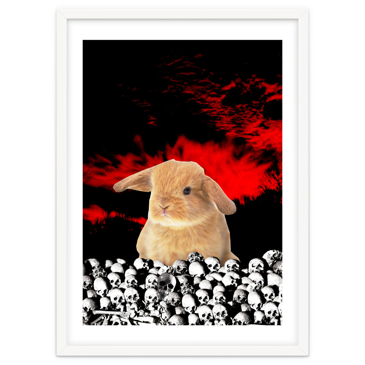 Bunny Of The Apocalypse