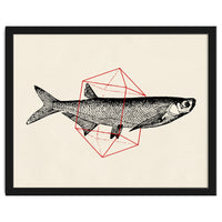 Fish In Geometrics II