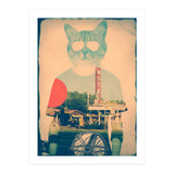 Cool Cat (Print Only) thumbnail