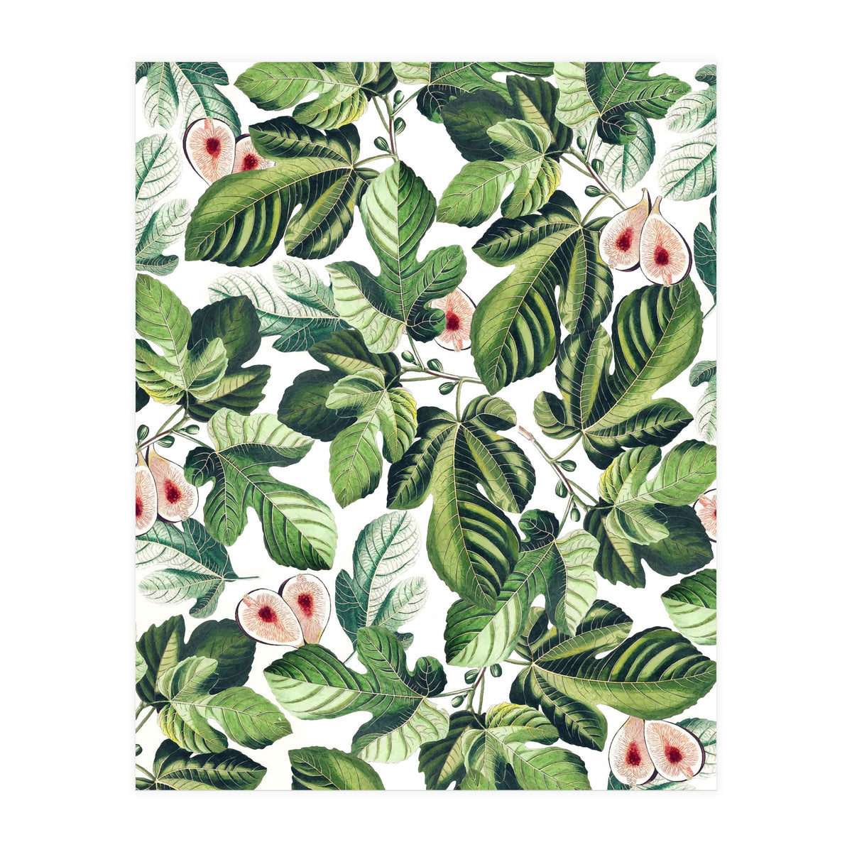 Fig Garden (Print Only)