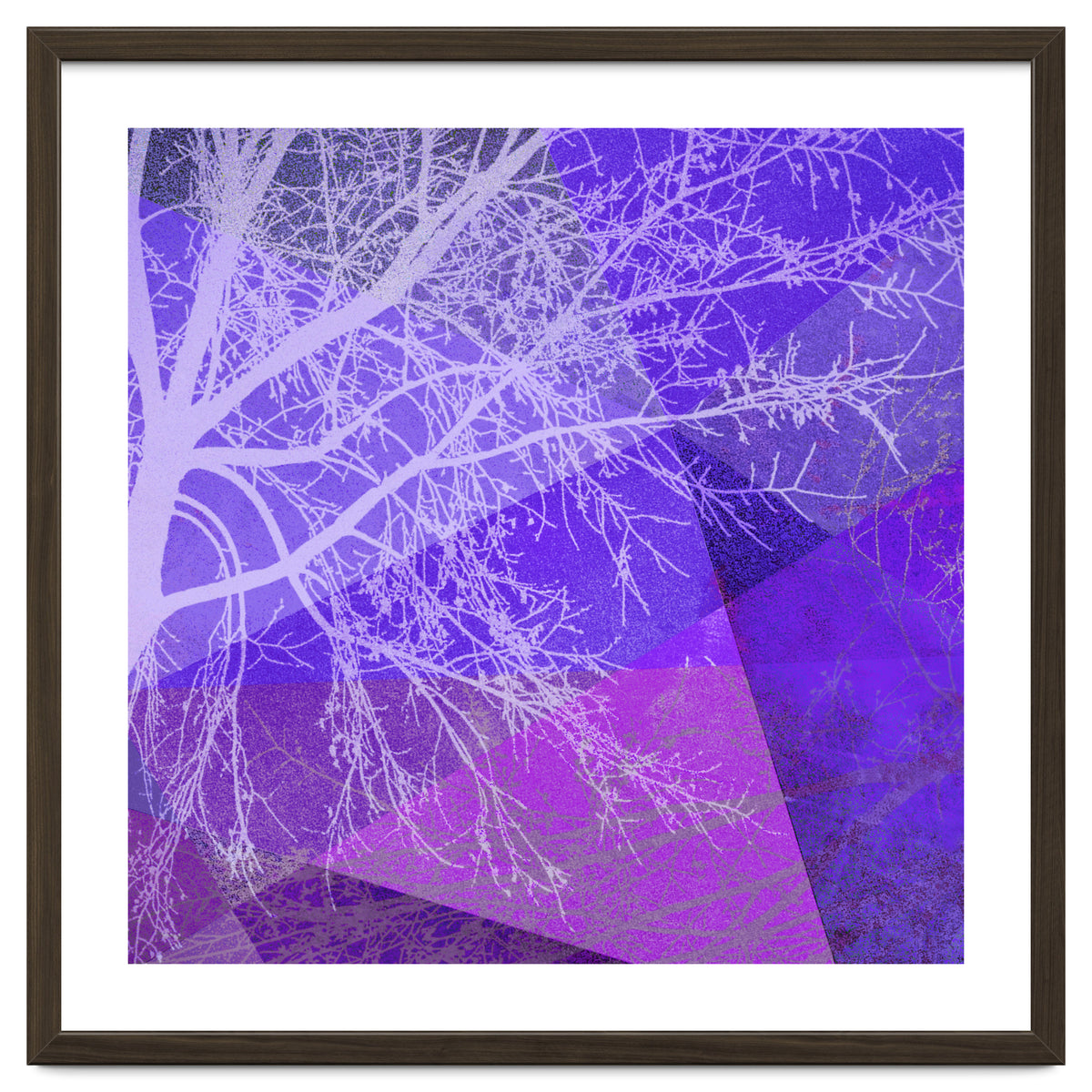 P19-D2 Trees and Triangles