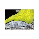 Female Act 23 (Print Only) thumbnail