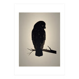 Owl Minimalist Picture (Print Only) thumbnail