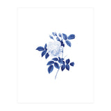 Blue Botanic II (Print Only) thumbnail
