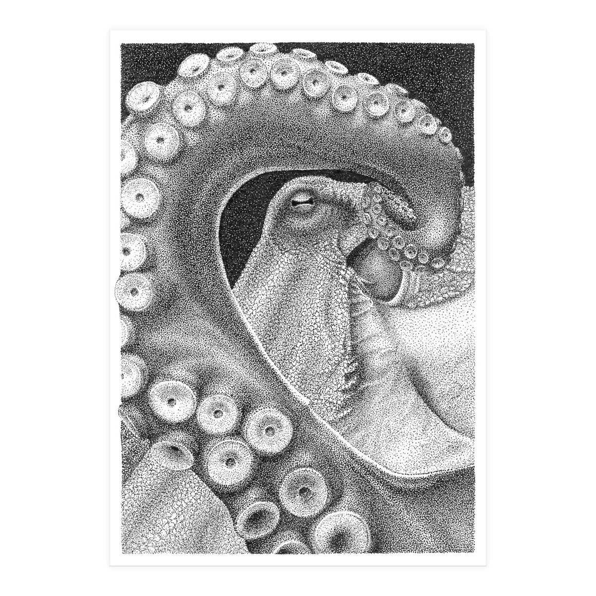 Octopus no. 1 (Print Only)