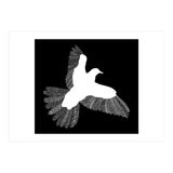 Bird Black (Print Only) thumbnail