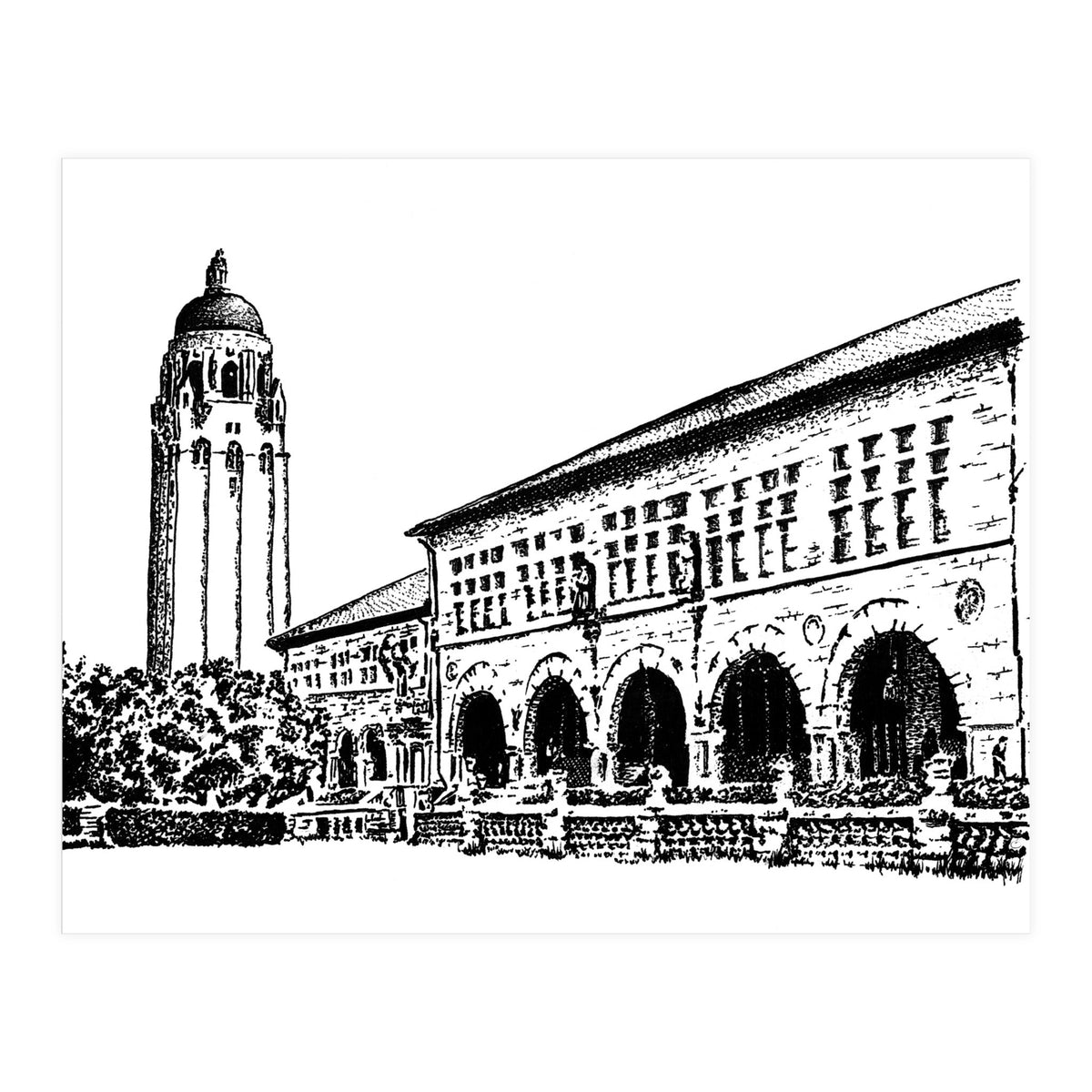 Stanford University (Print Only)