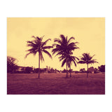 Palm Trees (Print Only) thumbnail
